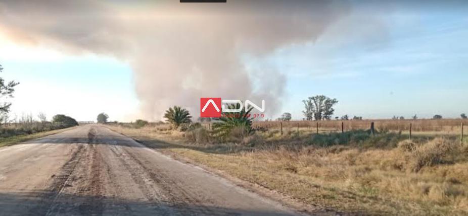 Incendio Campo