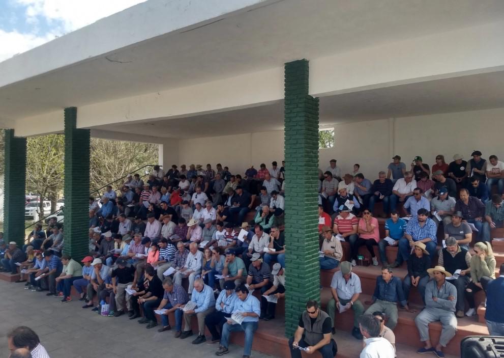tribuna