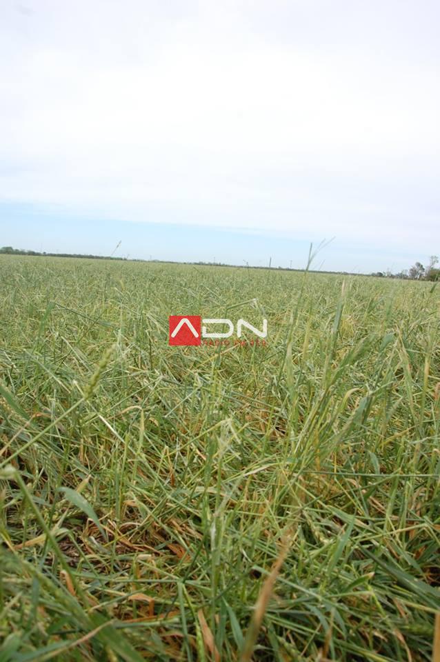 14956455_910580245739952_3887709228884235151_n