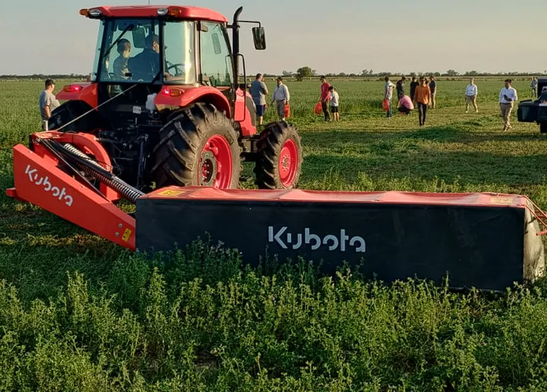 Captura de pantalla 2025-11-28 101316