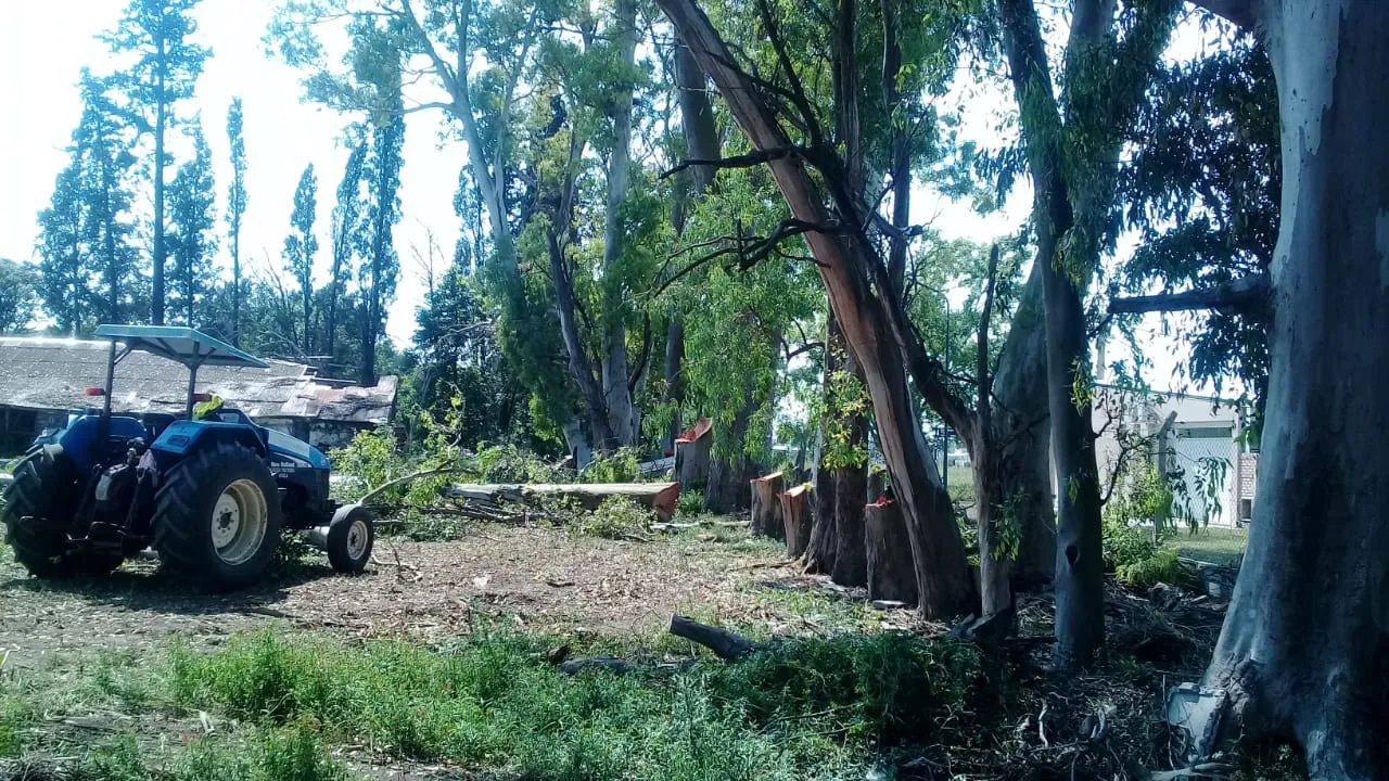 multimedia.normal.9bb0f4efb814b51f.6e6f726d616c2e6a7067