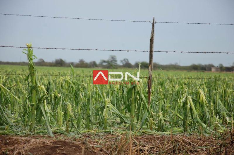 14947731_910580412406602_628637918390904381_n