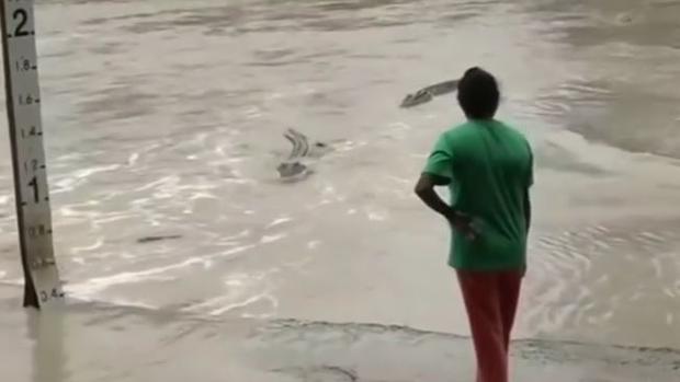 youtube-mujerasustacocodrilos2-ke0G--620x349@abc