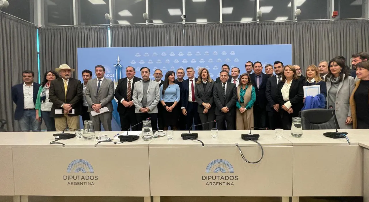 33850504-33c7-44fb-848e-516375fcfb45