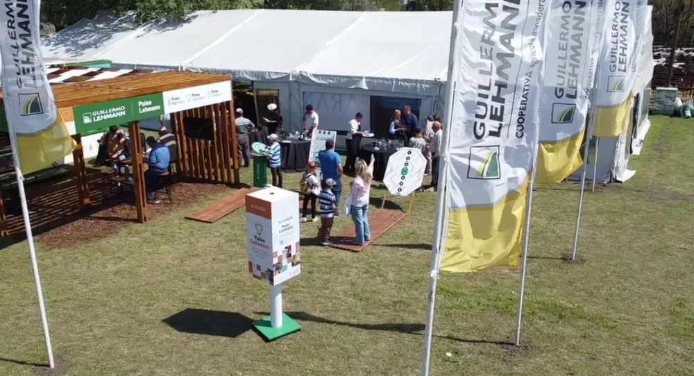 Captura de pantalla 2025-09-15 080240