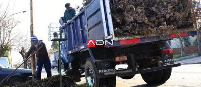 recoleccion-patios-800x349