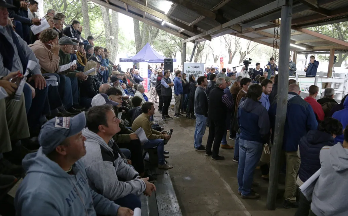 Captura de pantalla 2024-04-12 220126