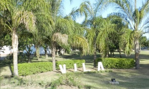 Vila