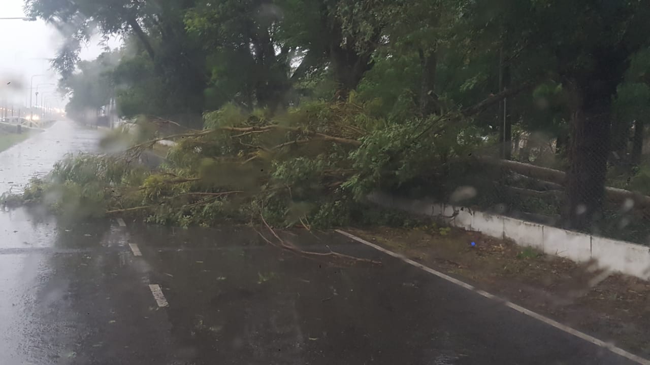 WhatsApp Image 2019-03-04 at 10.06.19