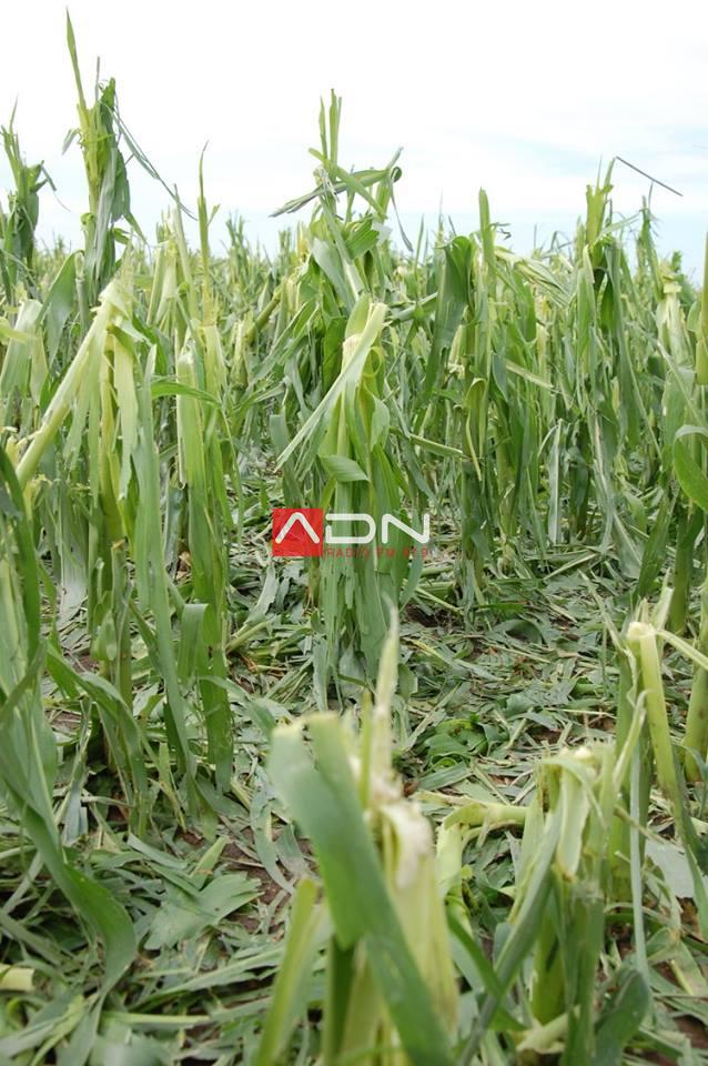 15056226_910580285739948_9006299749504596747_n