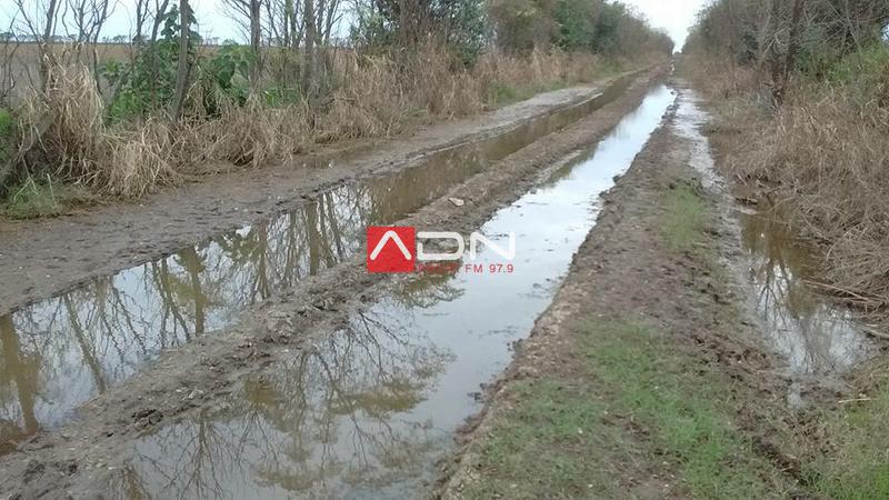 13256503_1298853896811073_3083422511546754011_n