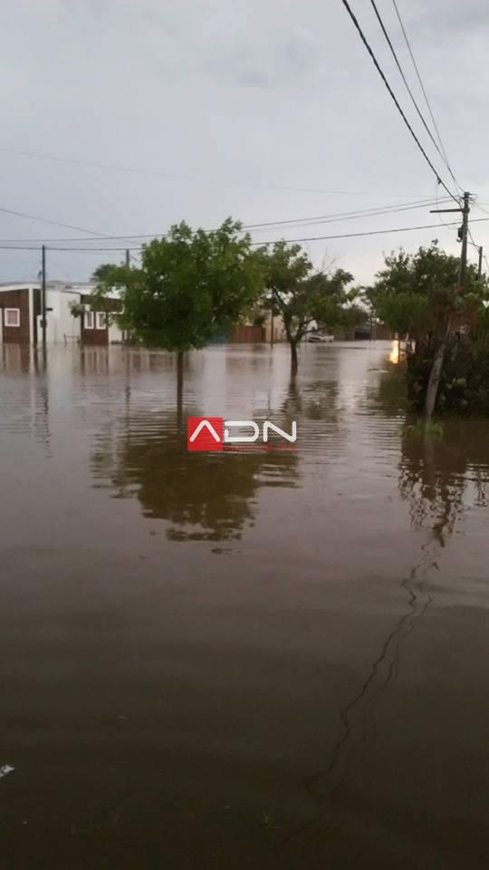 DAÑOS POR LA TORMENTA