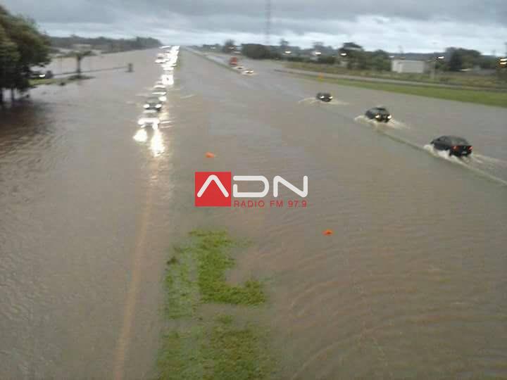 16105610_406635333015165_6692956562994422203_n