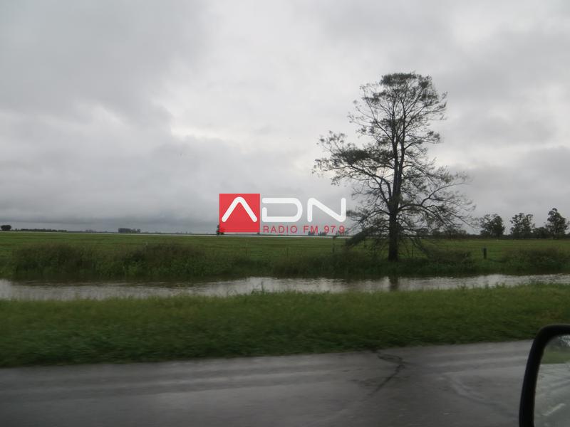 7 (R70 al Este del canal Vila-Cululu) 030117