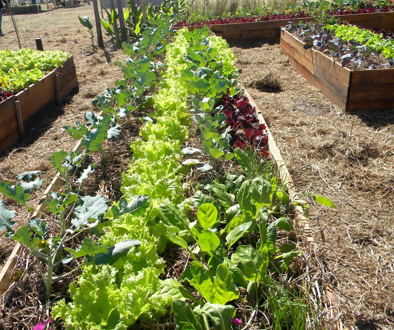 87c03a14-4a6c-4f61-822f-6fd0629324b9