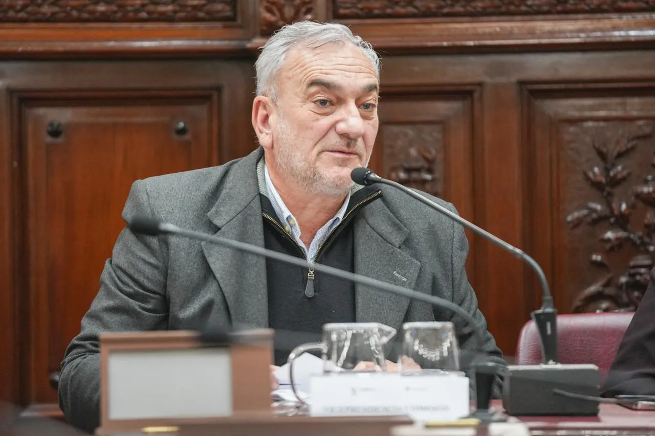 WhatsApp Image 2025-08-12 at 12.26.02