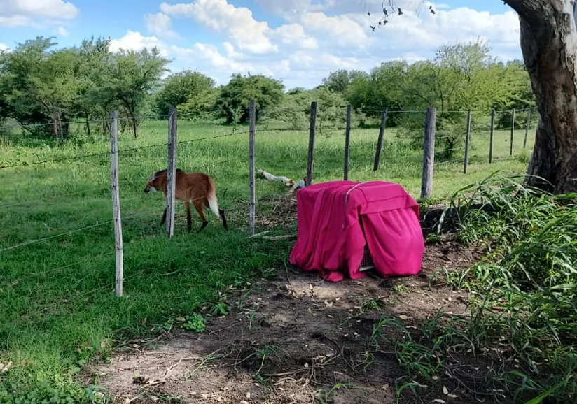 Captura de pantalla 2023-11-28 183235