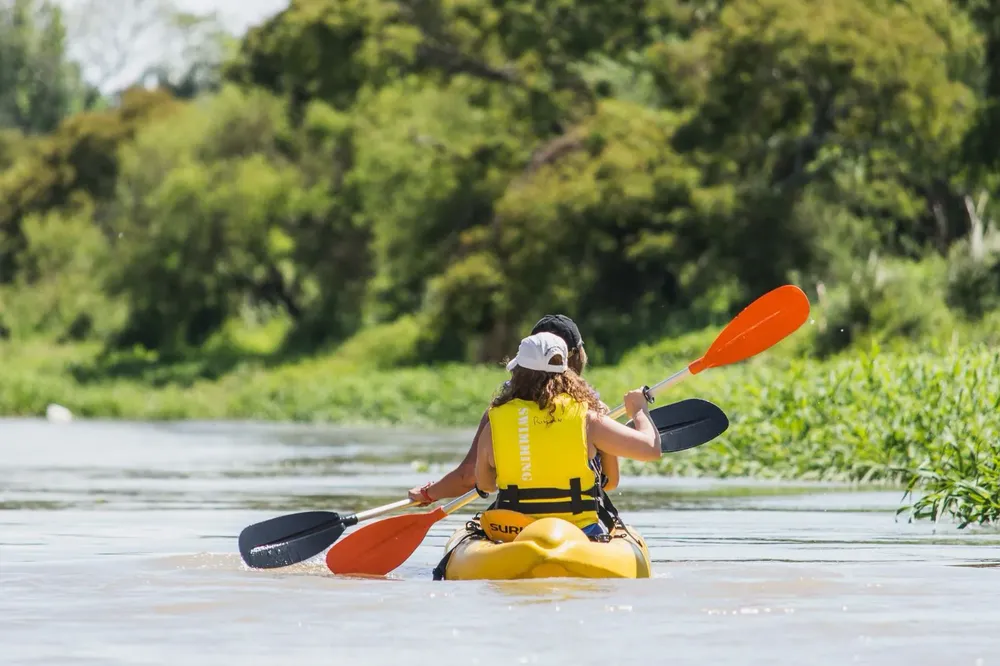 10f278b1-430a-4bf0-b86c-9208b07886e3