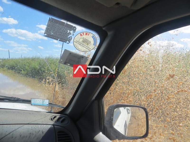 79 (R22 entre Eusebia y P. Marini pasando un corte de la ruta) 110117