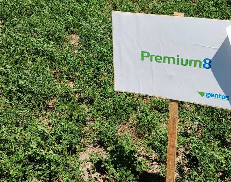 Captura de pantalla 2025-11-21 110633