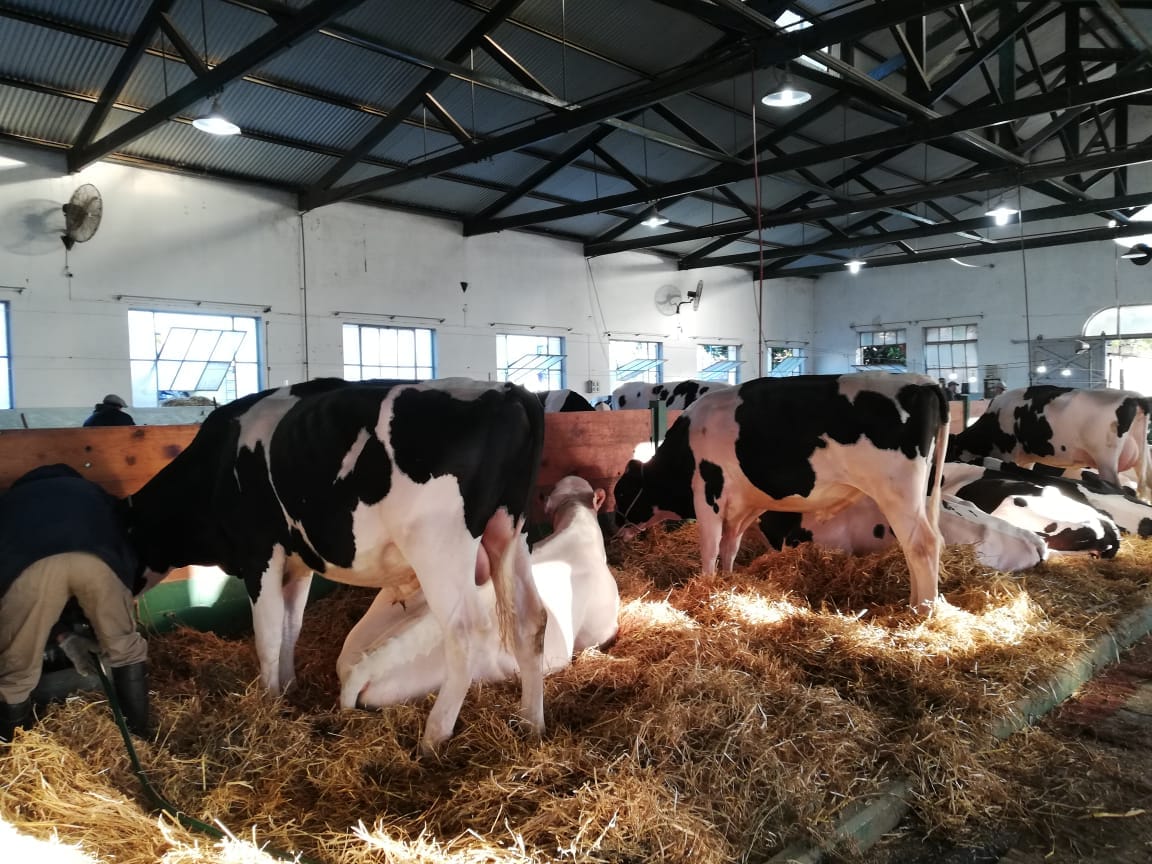 Rural Rafaela 2018