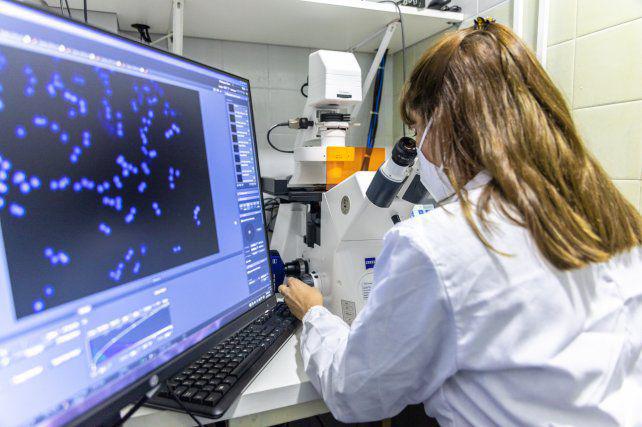 Laboratorio Esperanza