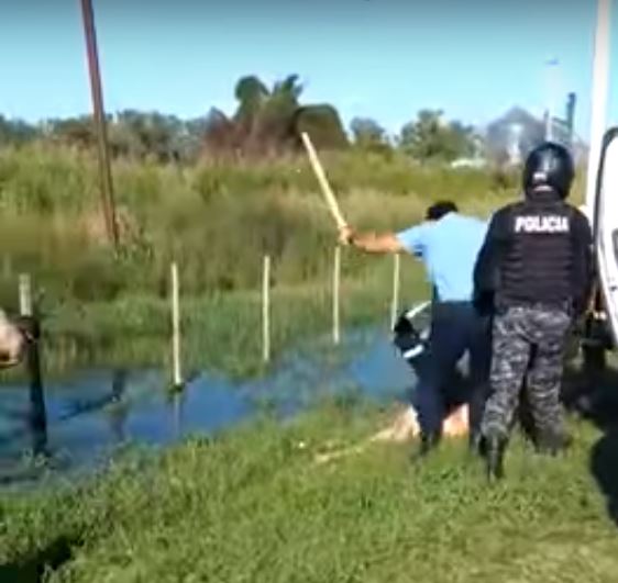 Policia golpea a hombre