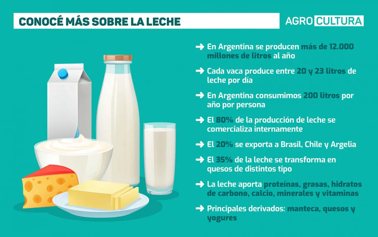 Infografia-leche-1-1280x801