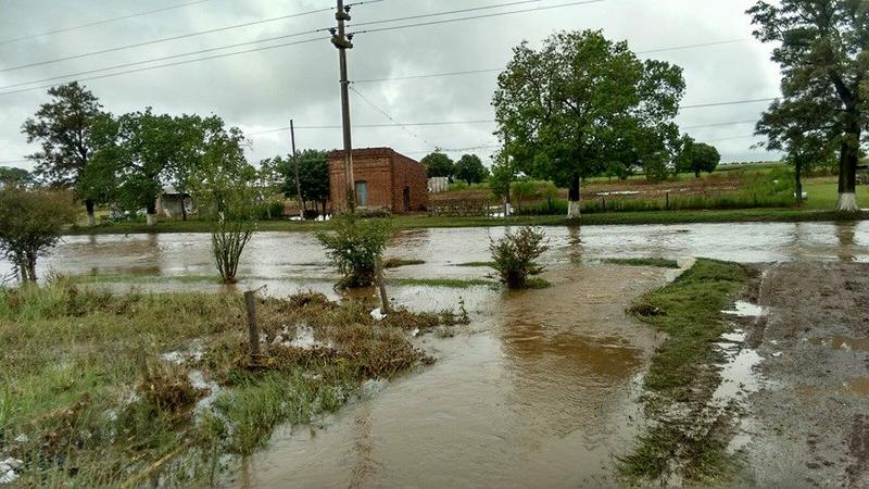 12715655_10154539488064046_5055791851370133612_n