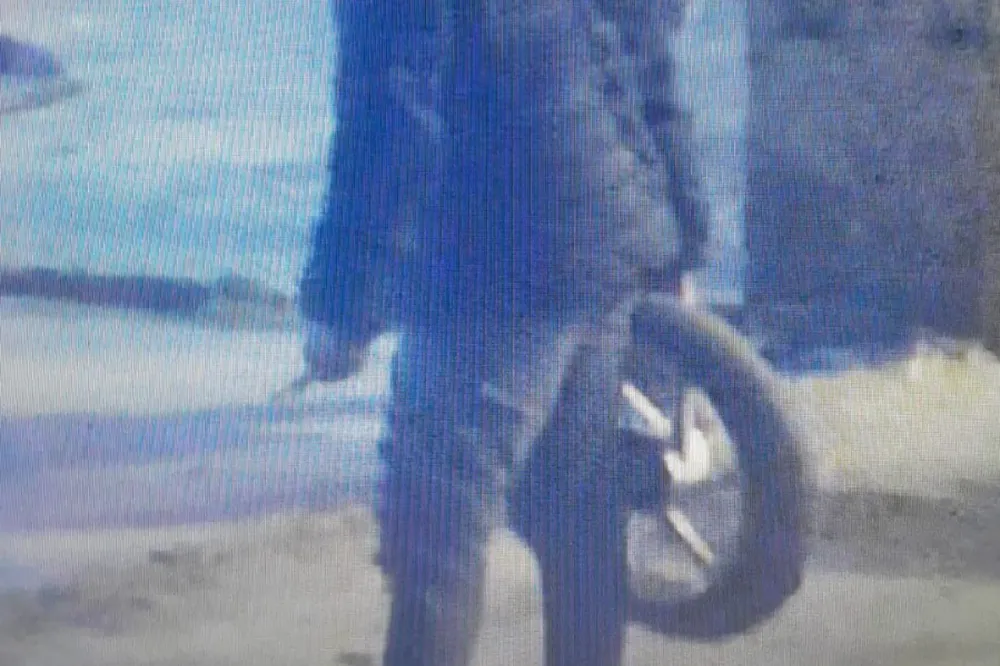 WhatsApp Image 2024-07-30 at 08.17.04