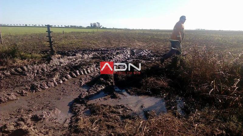 13083201_1180626138667841_2551440094965757107_n