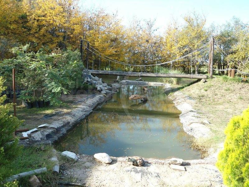 estanque-vivero-rosso estanque-vivero-rosso