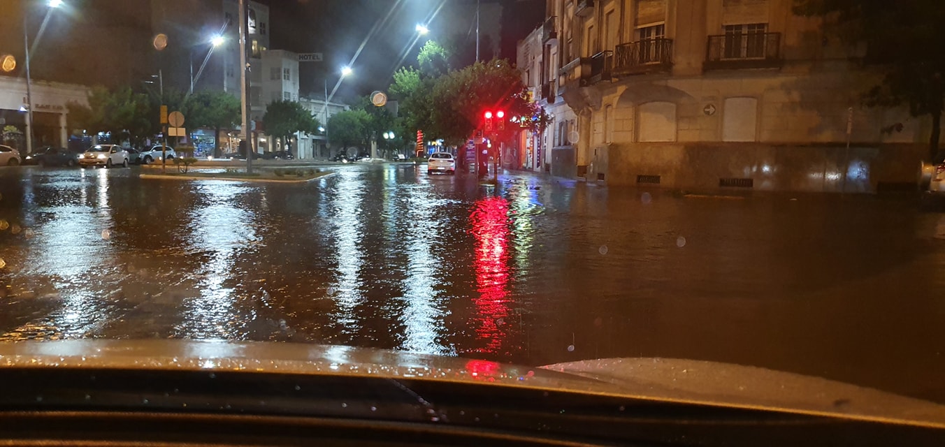 79317813_10221385812376835_2905687994428030976_o