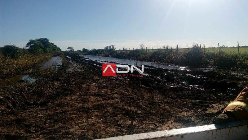 13091949_1180625835334538_7015751360941574475_n