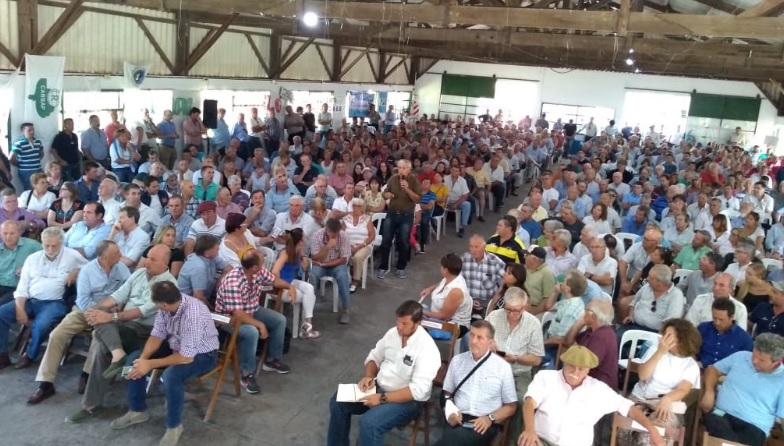 asamblea