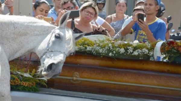 Caballo