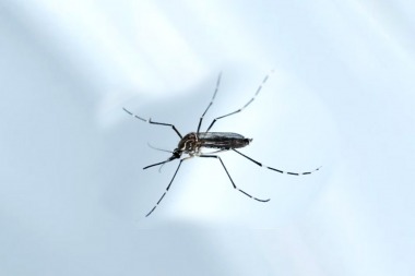 56b1e9edb058b_380x253