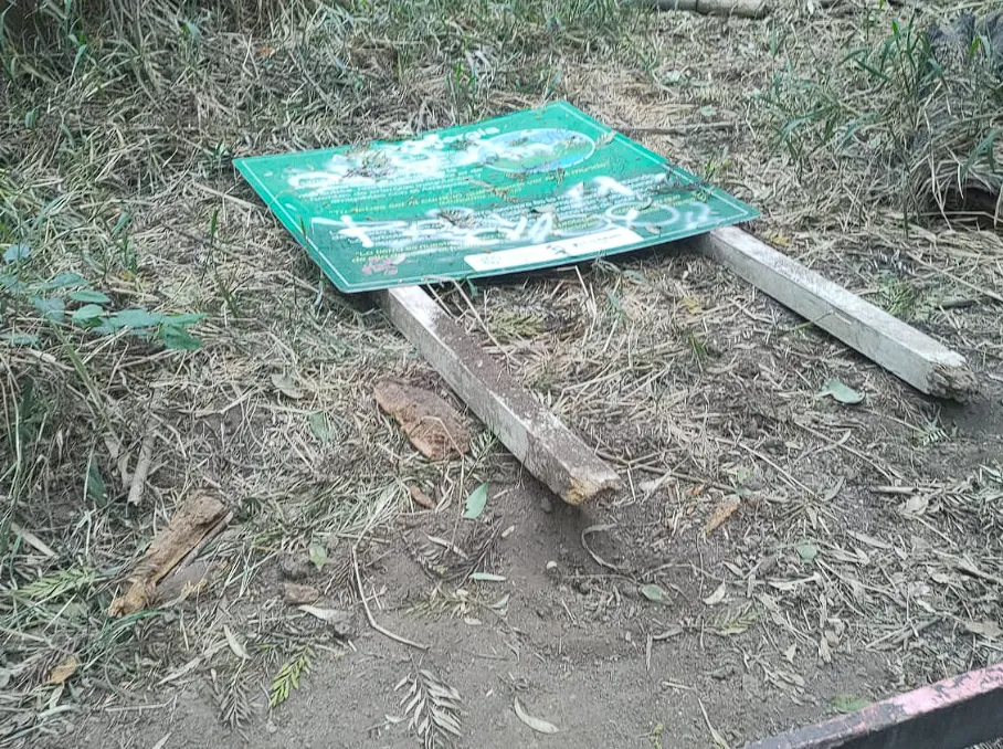 Captura de pantalla 2024-09-23 193633