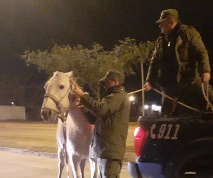 Captura de pantalla 2024-07-15 231943