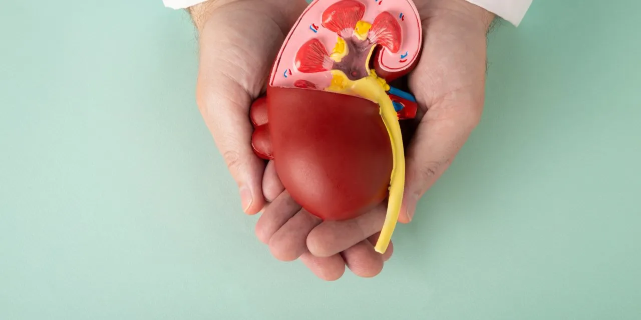 d20dd217-942f-4928-a8cc-addb36f7120f