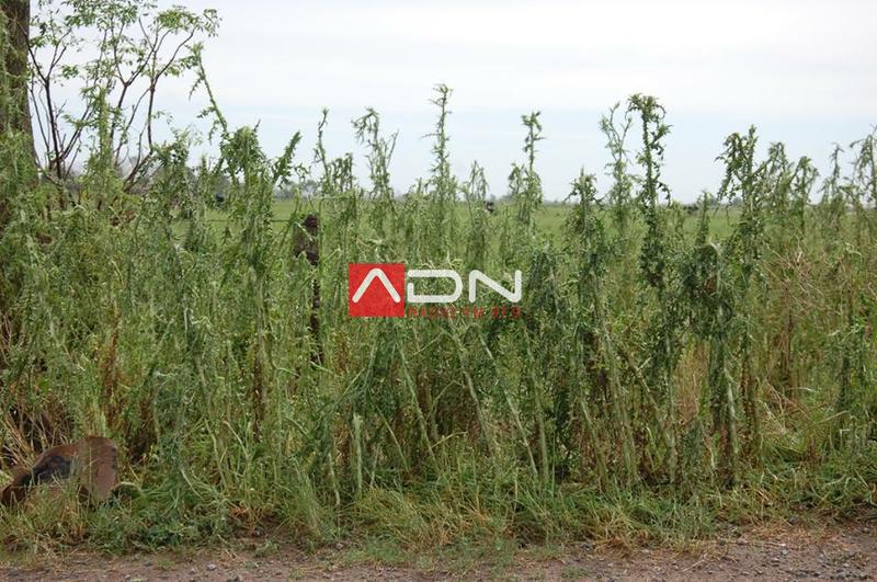 15078539_910580455739931_7153835264879162370_n