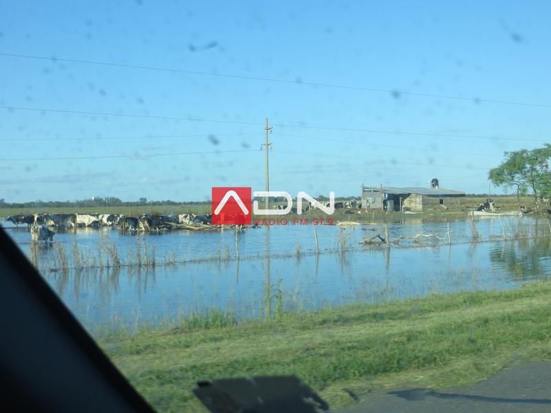 96 (R70 entre San Antonio y Pte. Roca, a donde ir...) 110117