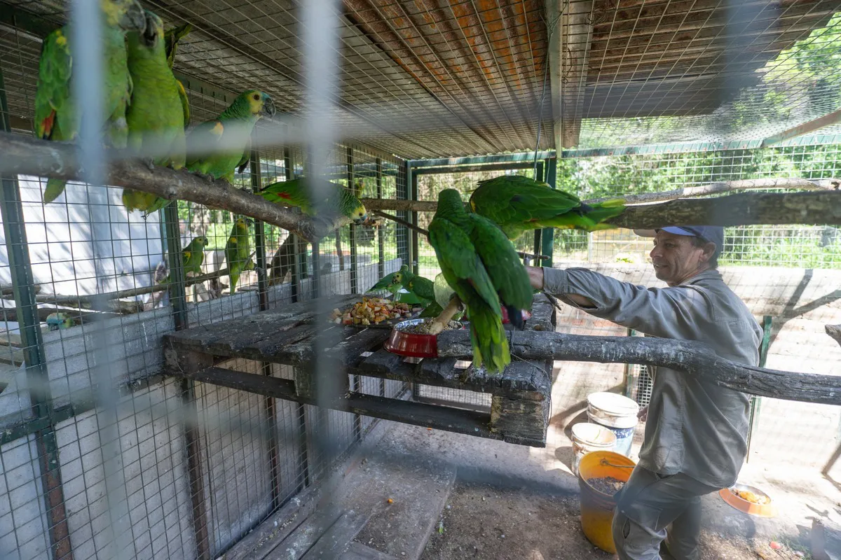 90432bf6-1c93-4347-bcd8-2c920eda2497