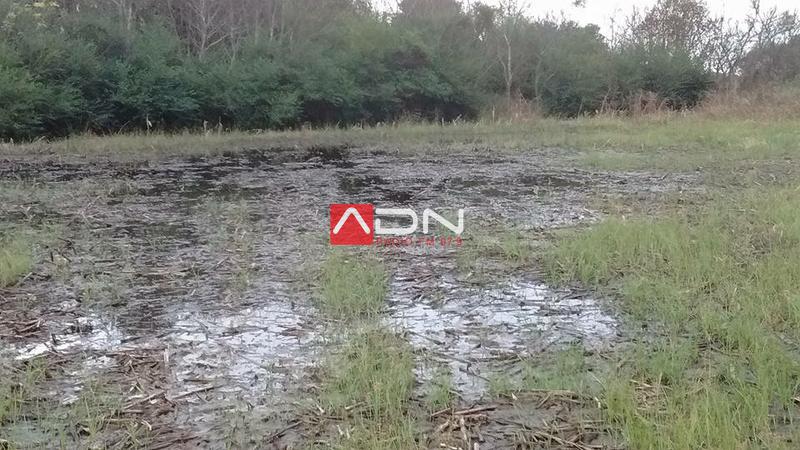 13260143_1298853960144400_4285904925378407061_n