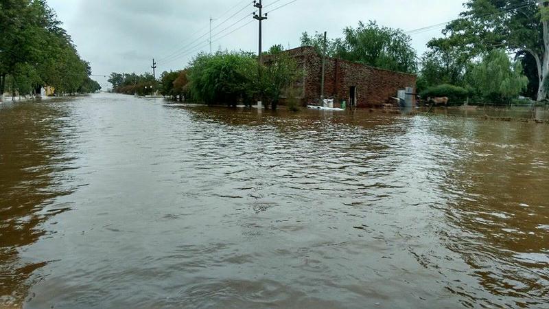 12729282_10154539489129046_5545765477284579921_n