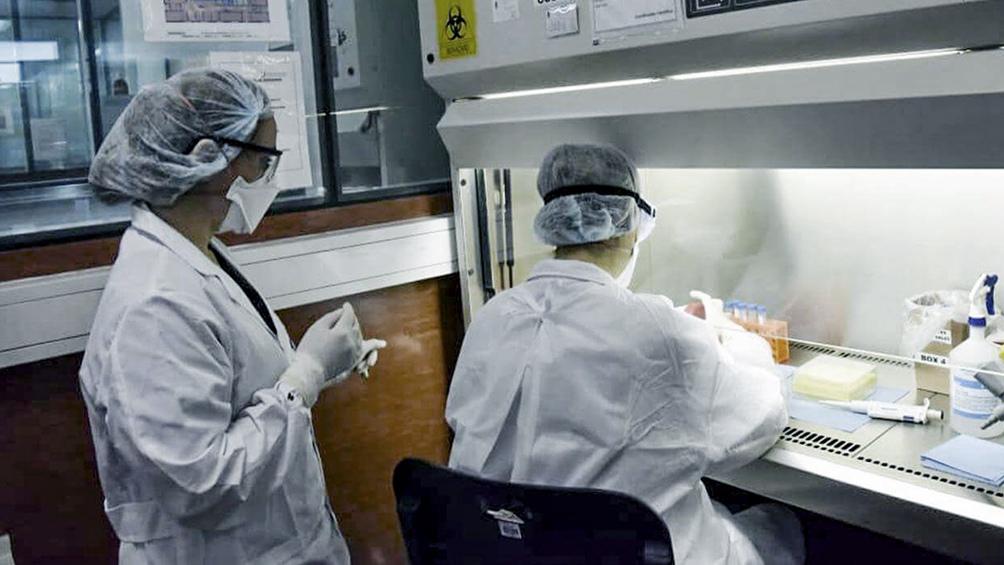coronavirus