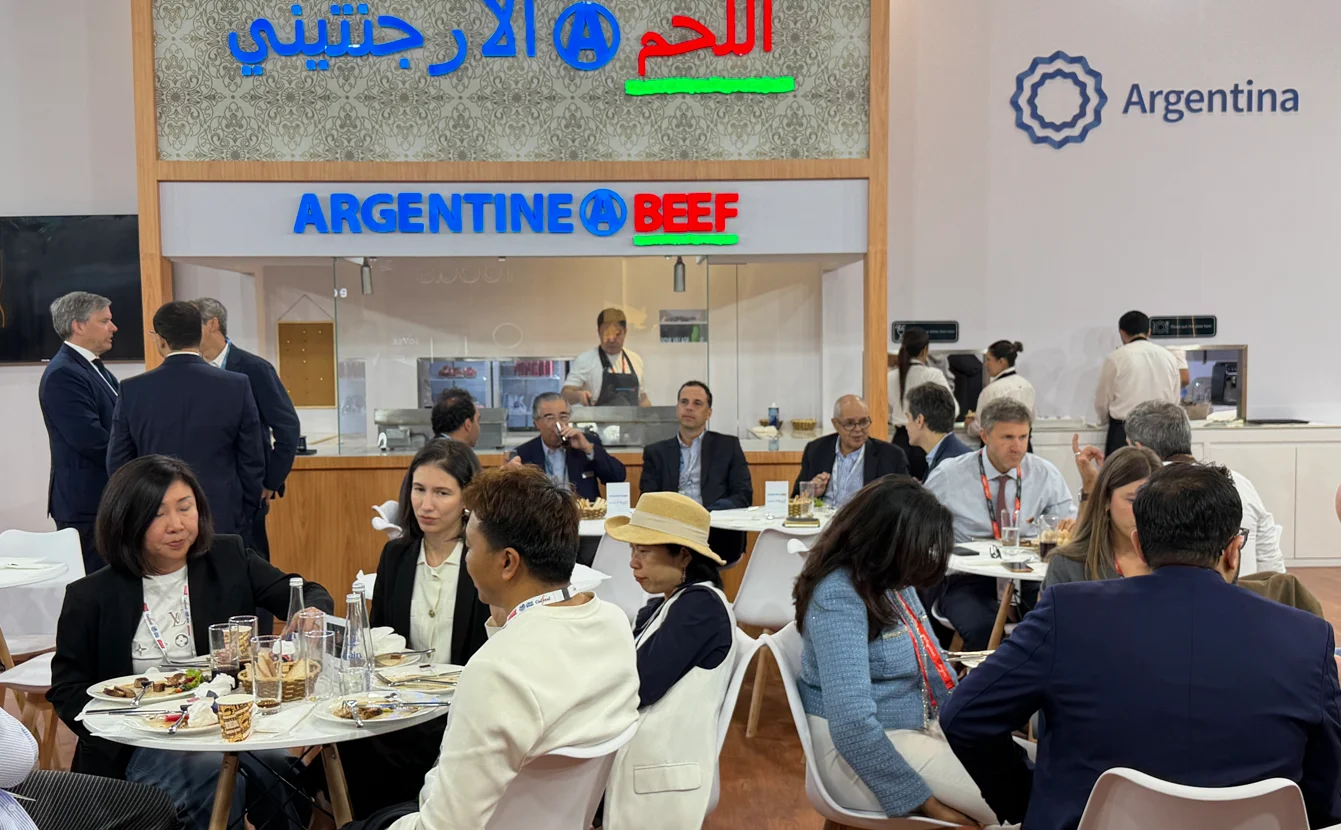 Captura de pantalla 2026-01-30 141432