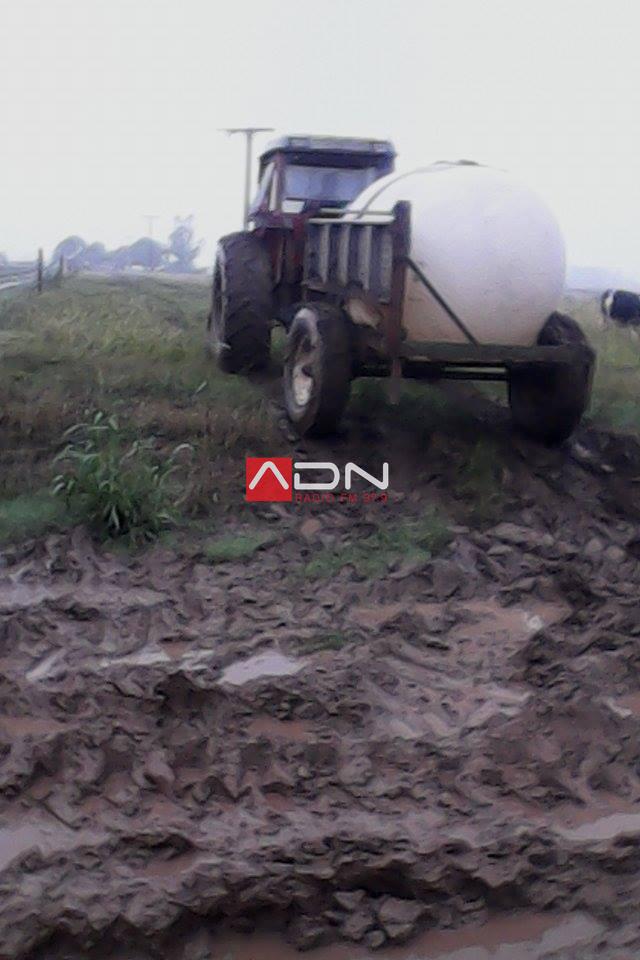 12966551_263646997308824_1303141856_n