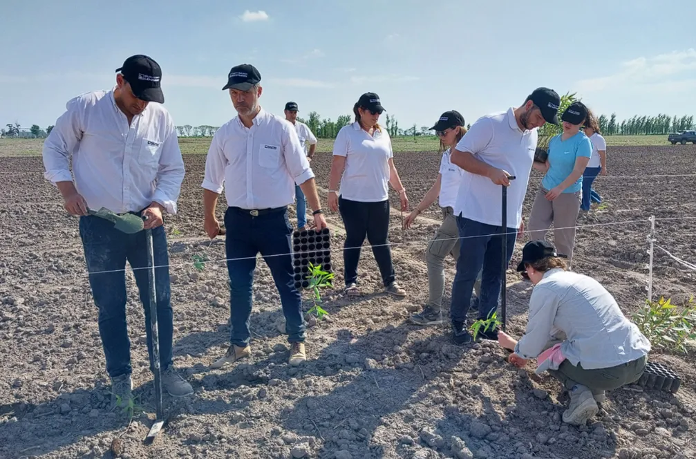 Captura de pantalla 2024-10-23 190817
