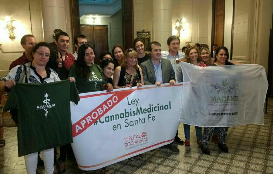 Cannabis